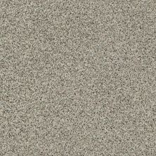 Shaw Floors Value Collections Angora Classic I Net Corriedale 0550A_CC86B