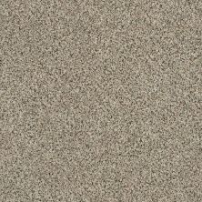 Shaw Floors Value Collections Angora Classic I Net Walnut Shell 0750A_CC86B