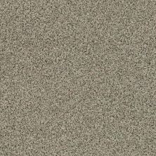 Shaw Floors Value Collections Angora Classic I Net Spindle 0751A_CC86B