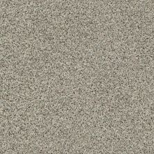 Shaw Floors Value Collections Angora Classic II Net Corriedale 0550A_CC87B