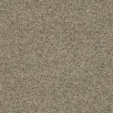 Shaw Floors Value Collections Angora Classic II Net Wensleydale 0733A_CC87B
