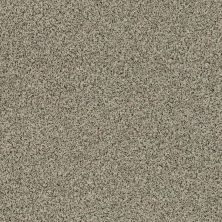 Shaw Floors Value Collections Angora Classic II Net Spindle 0751A_CC87B