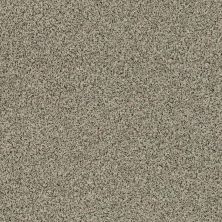 Shaw Floors Value Collections Angora Classic III Net Spindle 0751A_CC88B