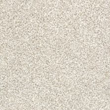 Shaw Floors Value Collections Devon Classic I Net Valley