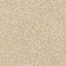 Shaw Floors Value Collections Devon Classic I Net Toasted Grain