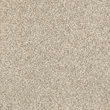 Shaw Floors Value Collections Devon Classic I Net Celtic