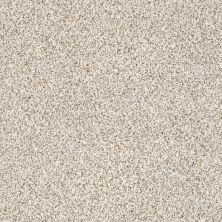 Shaw Floors Value Collections Devon Classic I Net Heath