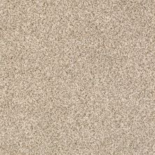 Shaw Floors Value Collections Devon Classic I Net Cavern