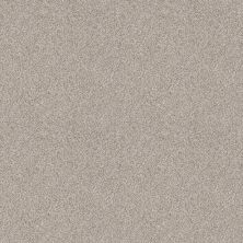 Shaw Floors Value Collections Devon Classic II Net Breton