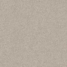 Shaw Floors Value Collections Devon Classic II Net Valley