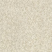 Shaw Floors Value Collections Devon Classic II Net Cliff
