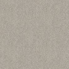 Shaw Floors Value Collections Devon Classic II Net Baybridge