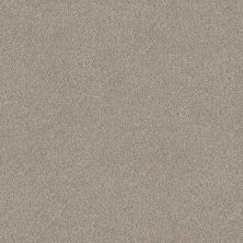 Shaw Floors Value Collections Devon Classic II Net Heath