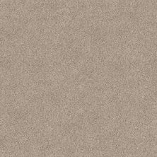 Shaw Floors Value Collections Devon Classic III Net Cricket Club