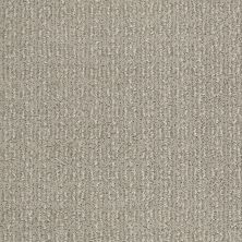 Shaw Floors Value Collections Luxe Classic Net Crete