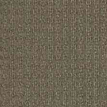 Shaw Floors Value Collections Luxe Classic Net Tibetan Plateau