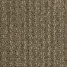 Shaw Floors Value Collections Luxe Classic Net Welsh Hill