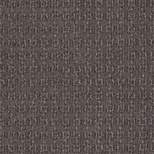 Shaw Floors Value Collections Luxe Classic Net Spring-wood