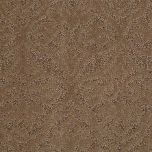 Shaw Floors Value Collections Modern Amenities Net Pebble Path