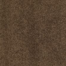 Shaw Floors Caress By Shaw Quiet Comfort II Bison 00707_CCB31