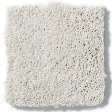 Shaw Floors Caress By Shaw Quiet Comfort Iv Mohair 00102_CCB33