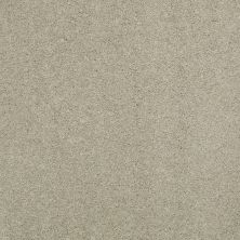 Shaw Floors Caress By Shaw Quiet Comfort Classic I Spruce 00321_CCB96