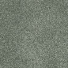 Shaw Floors Caress By Shaw Quiet Comfort Classic I Jade 00323_CCB96