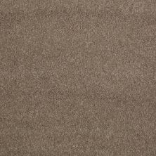Shaw Floors Caress By Shaw Quiet Comfort Classic I Mesquite 00724_CCB96