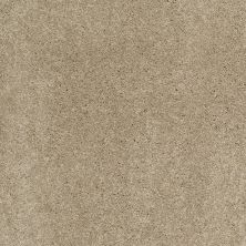 Shaw Floors Caress By Shaw Quiet Comfort Classic II Pecan Bark 00721_CCB97