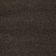 Shaw Floors Caress By Shaw Quiet Comfort Classic II Chestnut 00726_CCB97