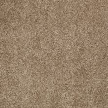 Shaw Floors Caress By Shaw Quiet Comfort Classic III Pebble Path 00722_CCB98