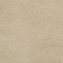 Shaw Floors Caress By Shaw Quiet Comfort Classic Iv Gentle Doe 00128_CCB99