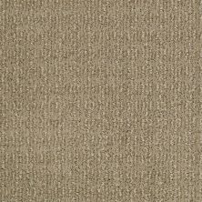 Shaw Floors Caress By Shaw Luxe Classic Llama 00701_CCP49
