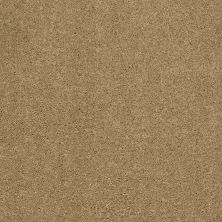 Shaw Floors Caress By Shaw Cashmere II Navajo 00703_CCS02