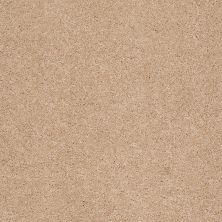 Shaw Floors Caress By Shaw Cashmere III Maplewood North 00600_CCS03