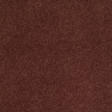 Shaw Floors Caress By Shaw Cashmere Iv Guanaco 00603_CCS04