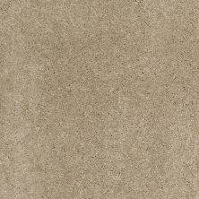 Shaw Floors Caress By Shaw Cashmere Classic II Pecan Bark 00721_CCS69