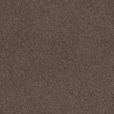 Shaw Floors Caress By Shaw Cashmere Classic III Spring – Wood 00725_CCS70