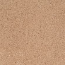 Shaw Floors Caress By Shaw Cashmere Classic Iv Maplewood North 00600_CCS71