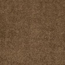 Shaw Floors Caress By Shaw Cashmere Classic Iv Tobacco Leaf 00723_CCS71