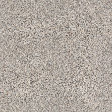 Shaw Floors Caress By Shaw Angora Classic III Cobblestone 0551A_CCS83