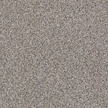 Shaw Floors Caress By Shaw Angora Classic III Roving 0552A_CCS83
