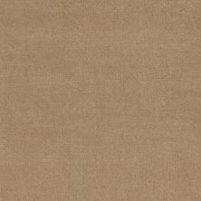 Philadelphia Commercial Carpet Exchange Excel 30 Burlap
