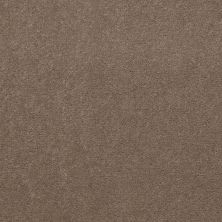 Philadelphia Commercial Carpet Exchange Excel 30 Top Taupe