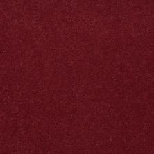 Philadelphia Commercial Carpet Exchange Excel 30 Rosebowl