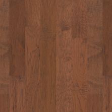 Shaw Floors Carpets Plus Hardwood Barnwood Harvest 00842_CH814
