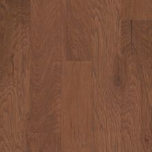 Shaw Floors Carpets Plus Hardwood Echo Canyon 5 Burnt Barnboard 00304_CH848