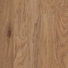 Shaw Floors Carpets Plus Hardwood Grand Mere Parchment 00138_CH850