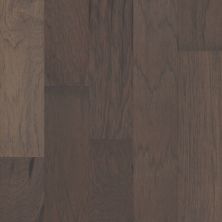 Shaw Floors Carpets Plus Hardwood Grand Mere Fedora 00501_CH850