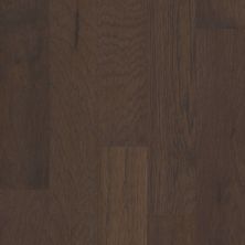 Shaw Floors Carpets Plus Hardwood Grand Mere Bison 00944_CH850